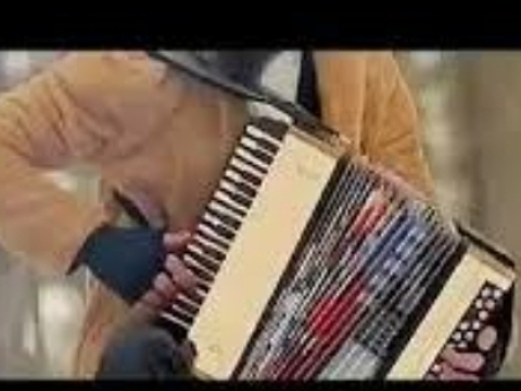 نت رینگ حیاتی