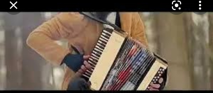نت رینگ حیاتی